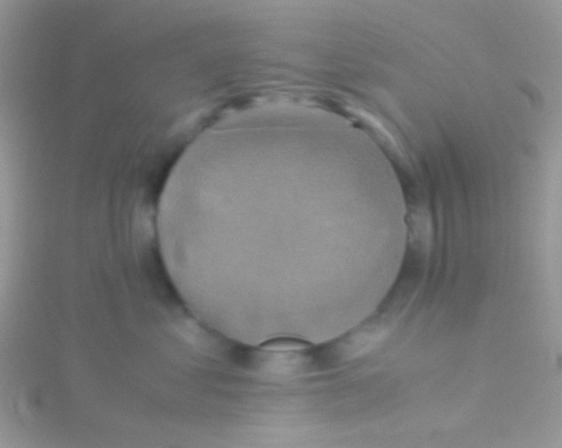 X0000115390621200911241247