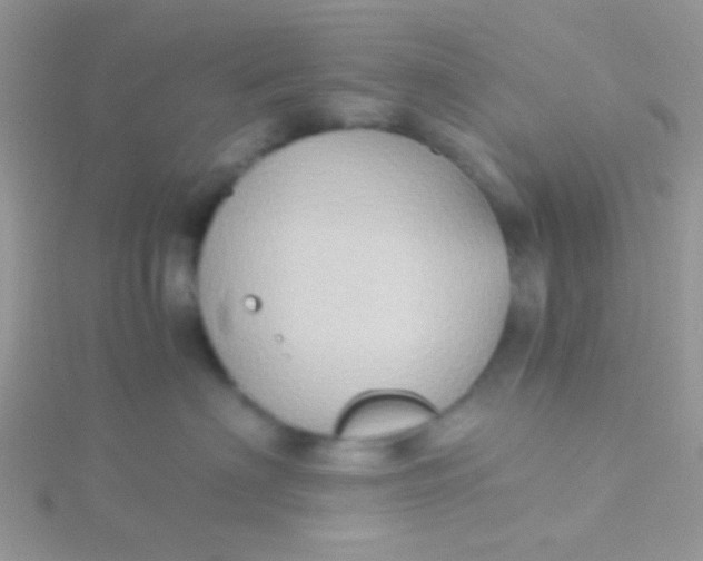 X0000115390622200911241247