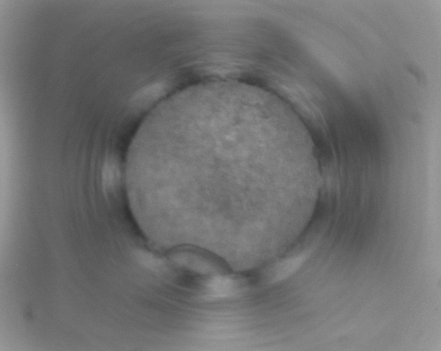 X0000115390623200911241247