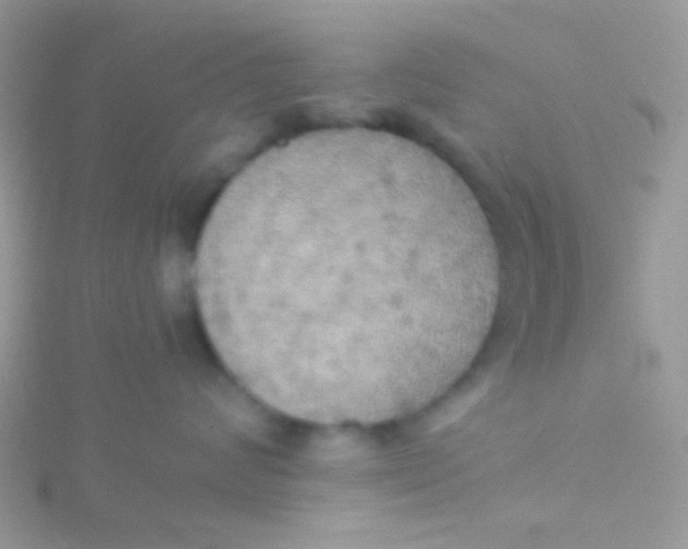 X0000115390624200911241247