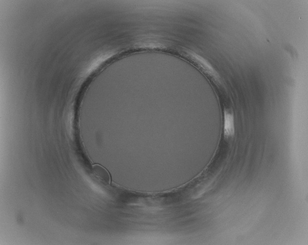 X0000115390627200911241247