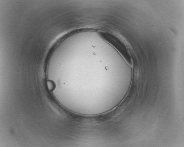 X0000115390628200911241247