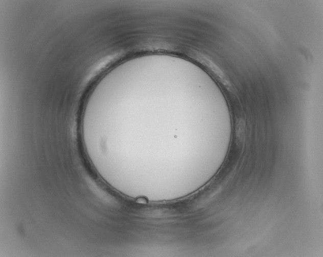 X0000115390629200911241247