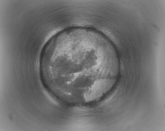 X0000115390630200911241247