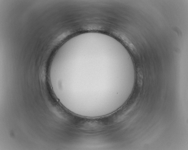 X0000115390631200911241247