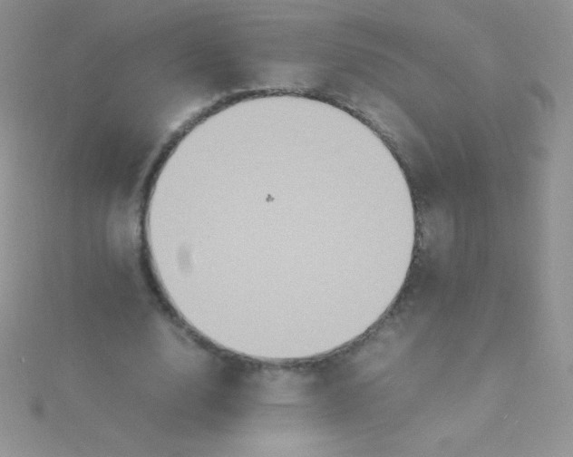 X0000115390632200911241247