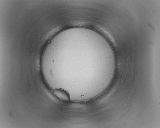 X0000115390633200911241247