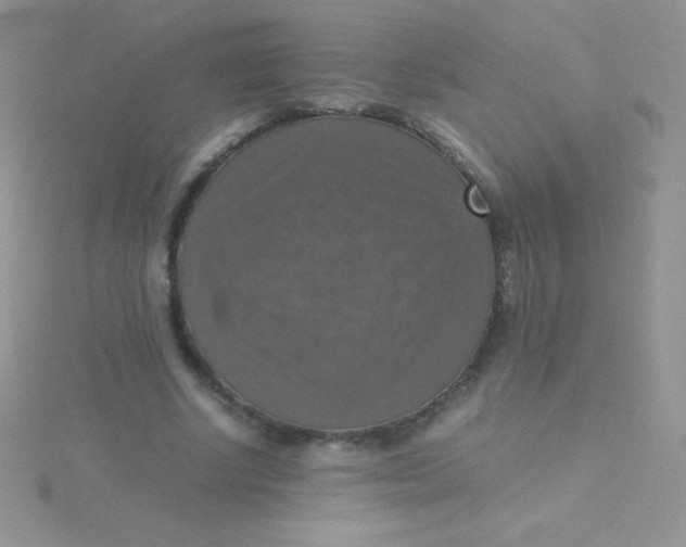 X0000115390634200911241247