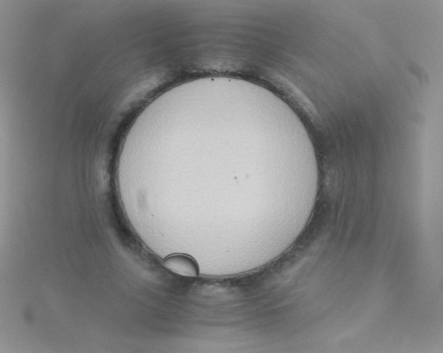 X0000115390635200911241247