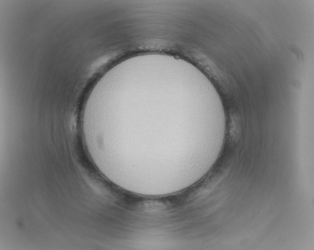 X0000115390636200911241247