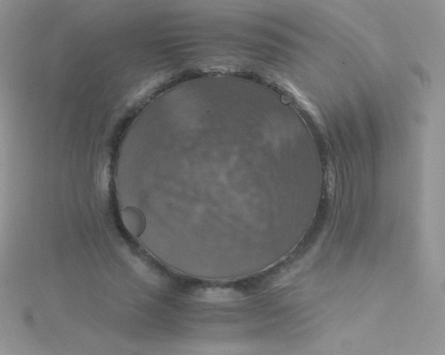 X0000115390637200911241247