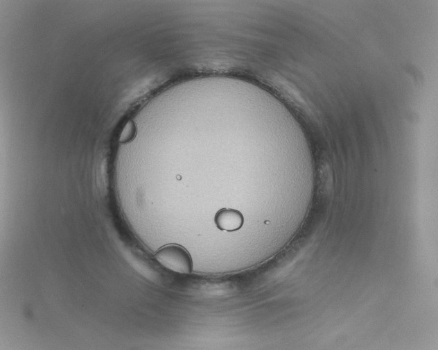 X0000115390638200911241247