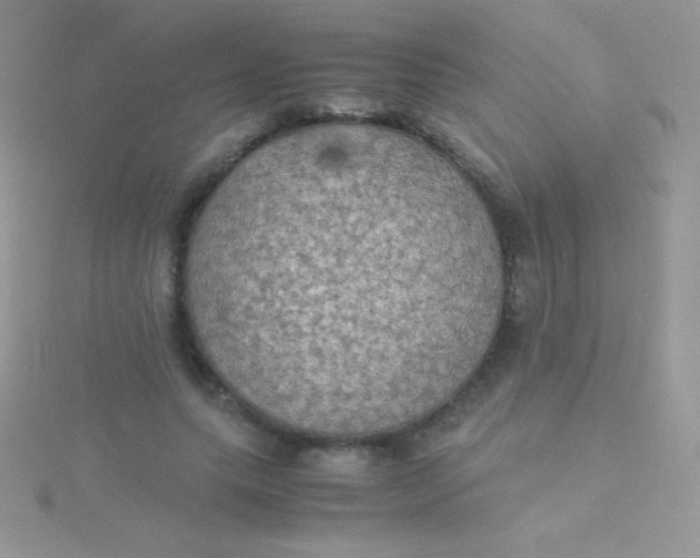 X0000115390639200911241247