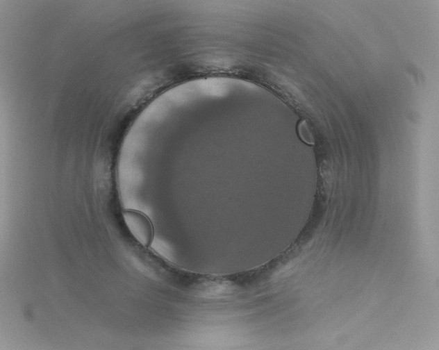 X0000115390642200911241247