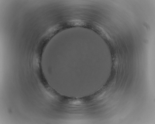 X0000115390643200911241247