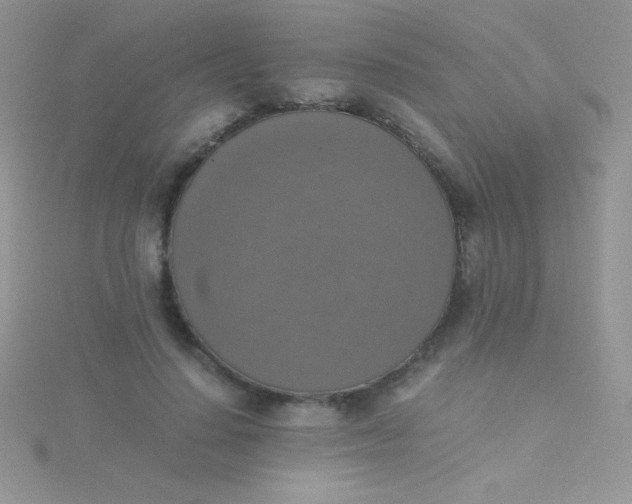 X0000115390644200911241247