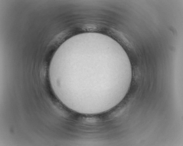 X0000115390645200911241247