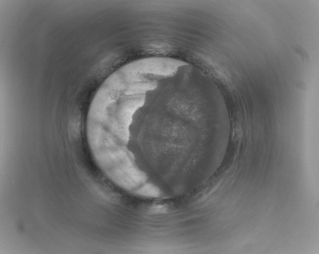 X0000115390647200911241247