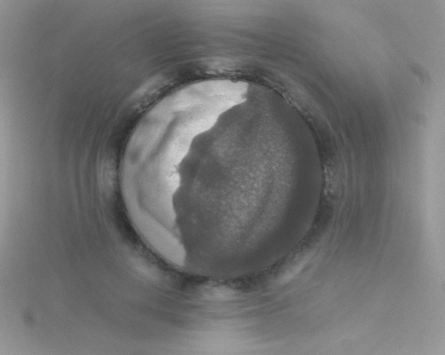 X0000115390648200911241247