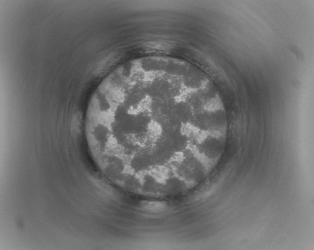 X0000115390649200911241247