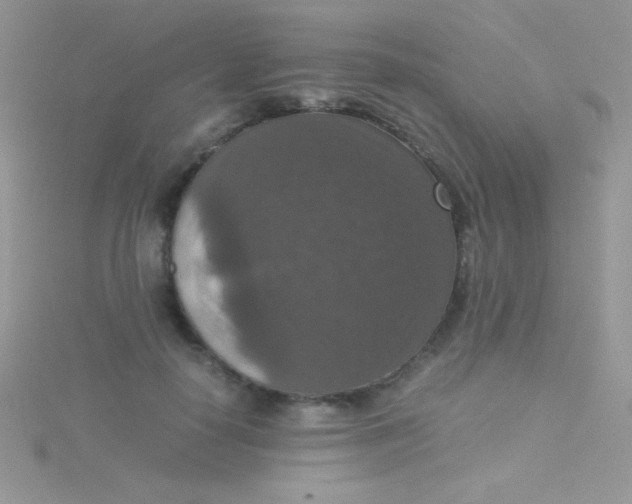 X0000115390650200911241247