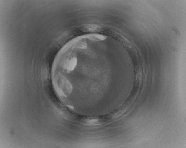 X0000115390651200911241247