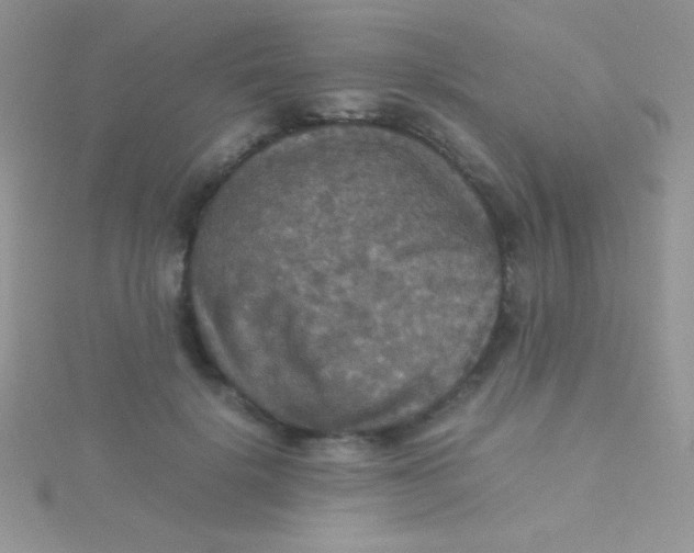 X0000115390652200911241247