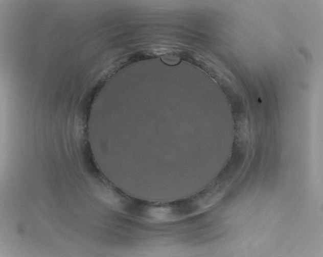 X0000115390653200911241247