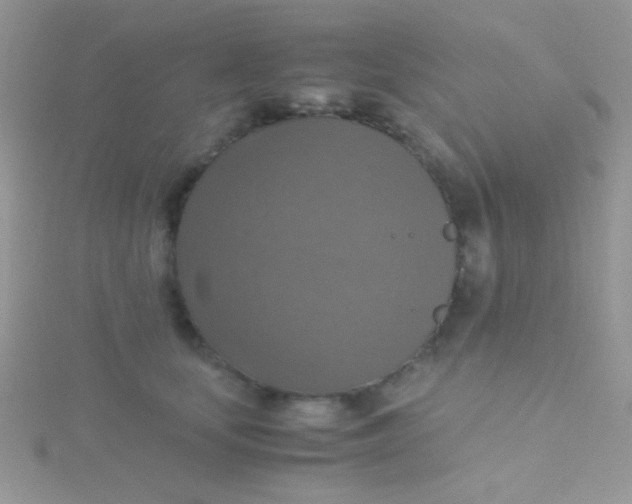 X0000115390659200911241247