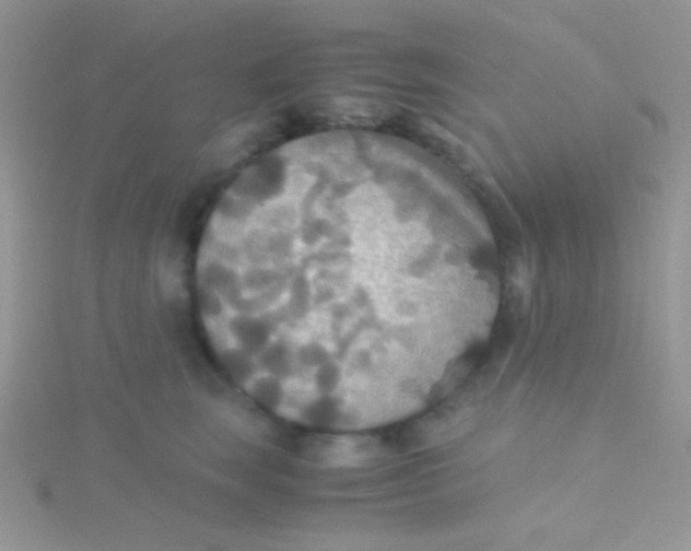 X0000115390663200911241247