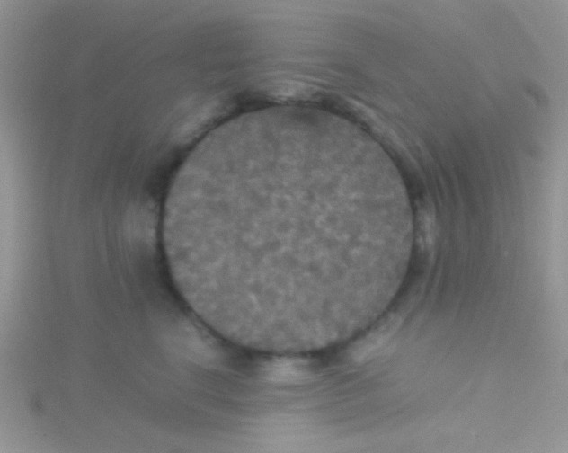 X0000115390664200911241247