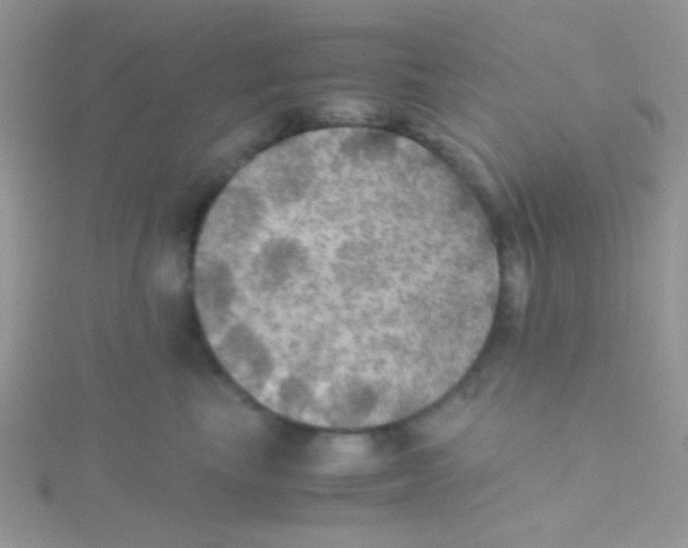 X0000115390665200911241247