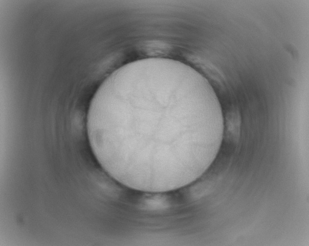 X0000115390667200911241247