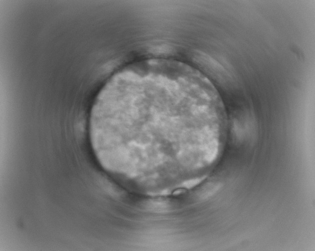 X0000115390668200911241247