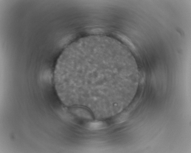 X0000115390669200911241247