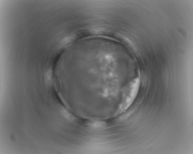 X0000115390670200911241247