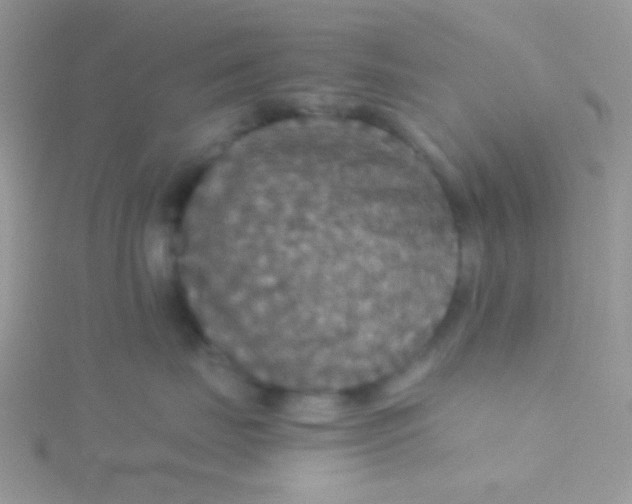 X0000115390671200911241247