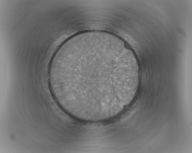 X0000115390673200911241247