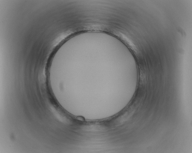 X0000115390674200911241247