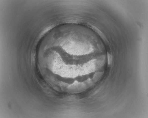 X0000115390675200911241247