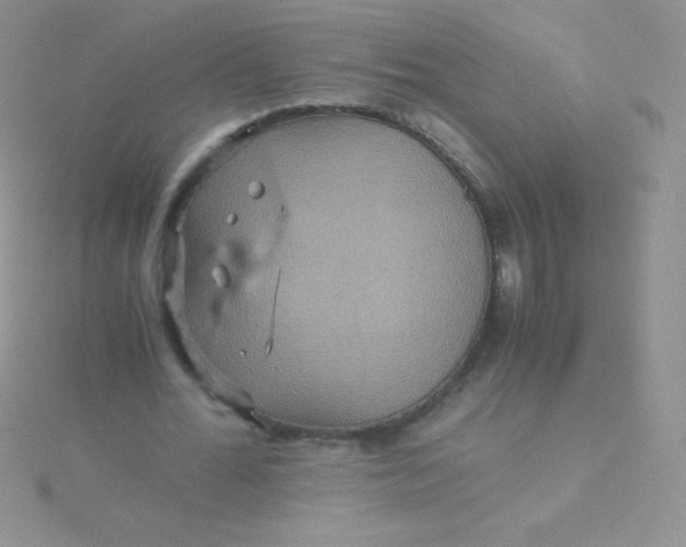 X0000115390676200911241247