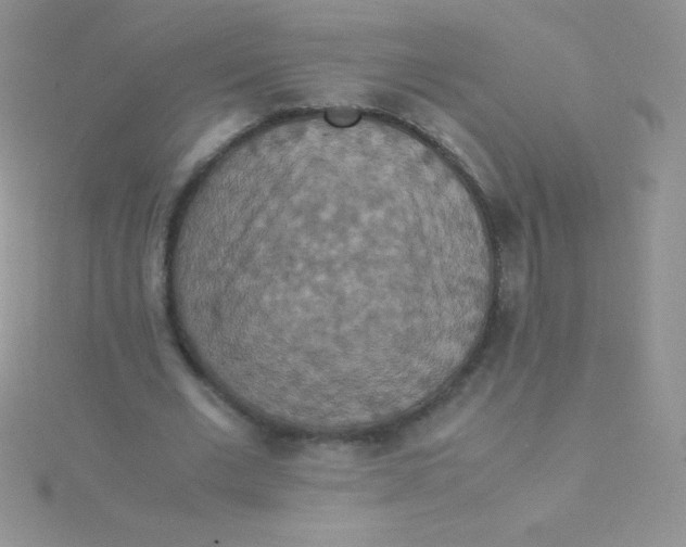 X0000115390677200911241247