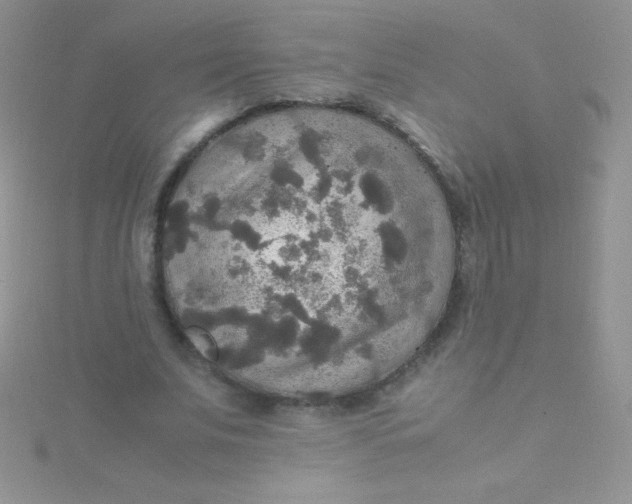 X0000115390679200911241247