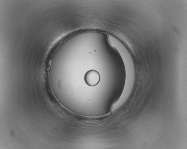 X0000115390680200911241247