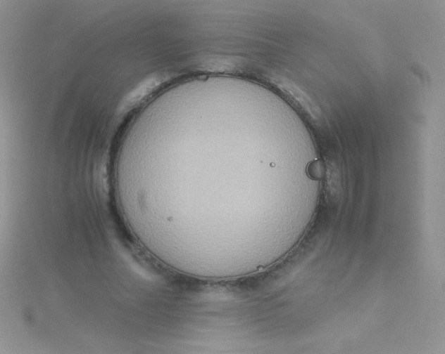 X0000115390682200911241247