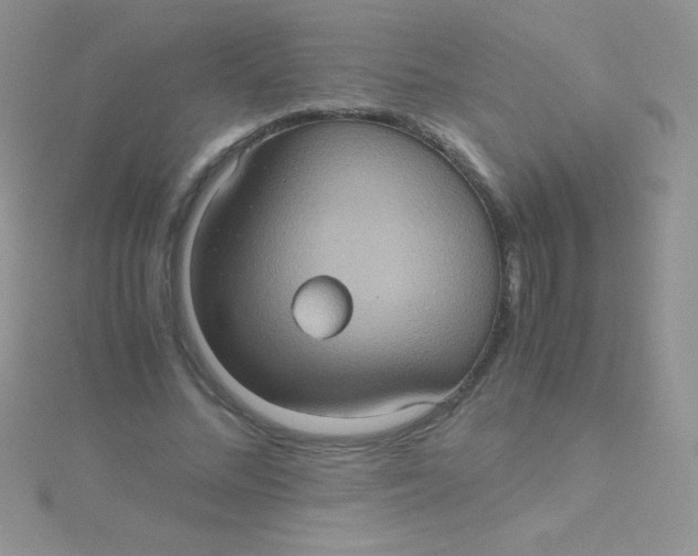 X0000115390684200911241246