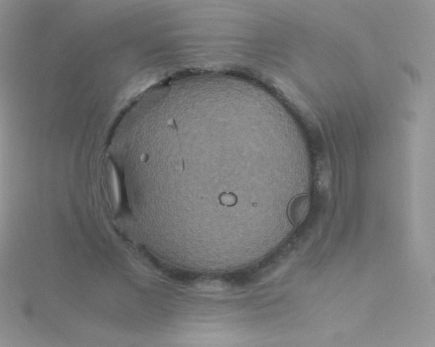 X0000115390685200911241246