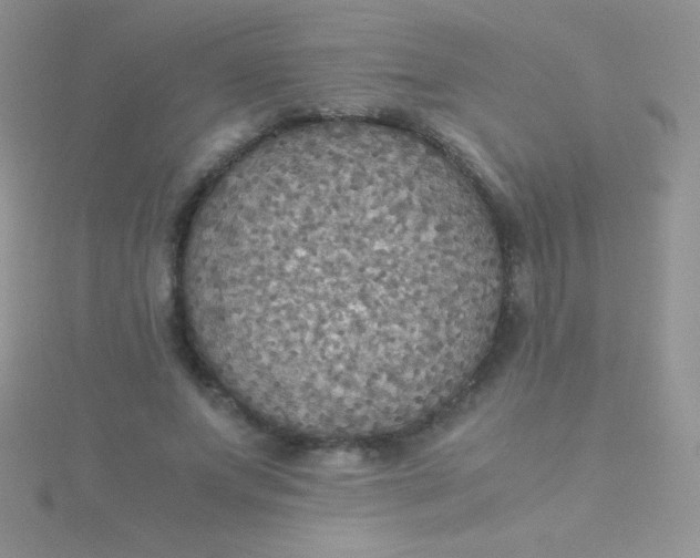 X0000115390687200911241246