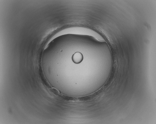 X0000115390688200911241246