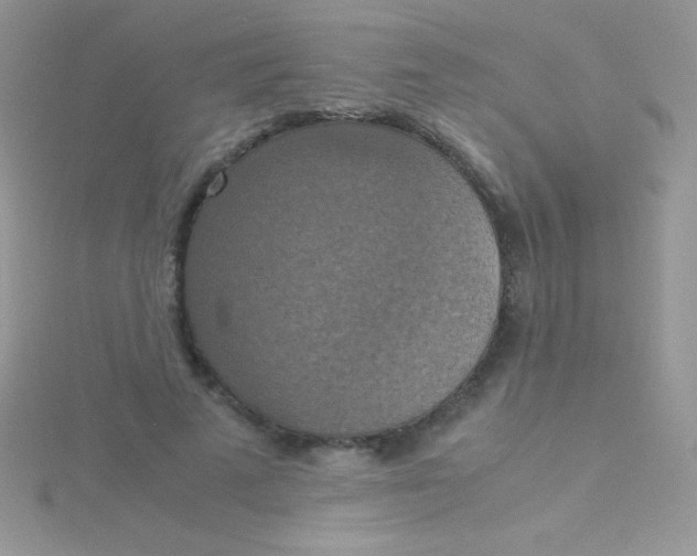 X0000115390689200911241246